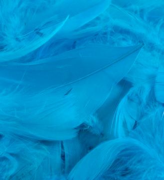 Eleganza Feathers Mixed sizes 3inch-5inch 50g bag Turquoise No.55 - Accessories